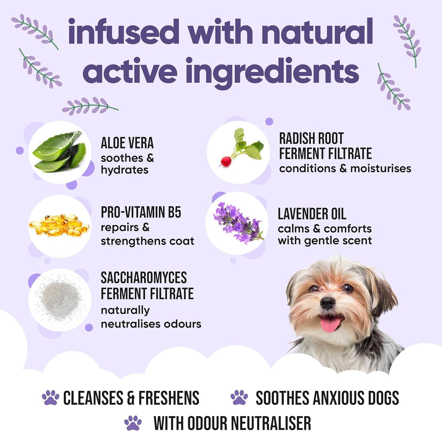 Calming & Deodorising Dog Shampoo by Buddycare | Lavender Scented | with Aloe Vera and Pro Vitamin B5 (169.07oz)