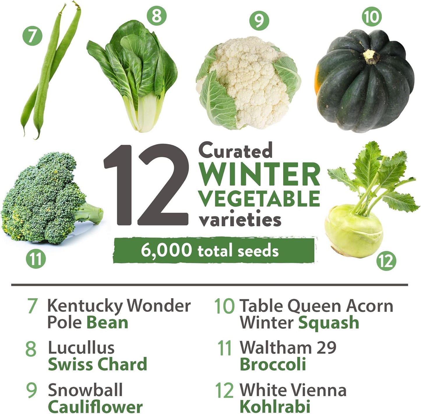 HOME GROWN 12 Winter Vegetable Seeds 𝗡𝗢𝗡-𝗚𝗠𝗢 Heirloom,Fall & Winter Vegetable Seeds for Planting Home Garden: Bean, Beet, Broccoli, Cabbage, Carrot, Cauliflower, Kale,Parsnip,Squash,Chard & More