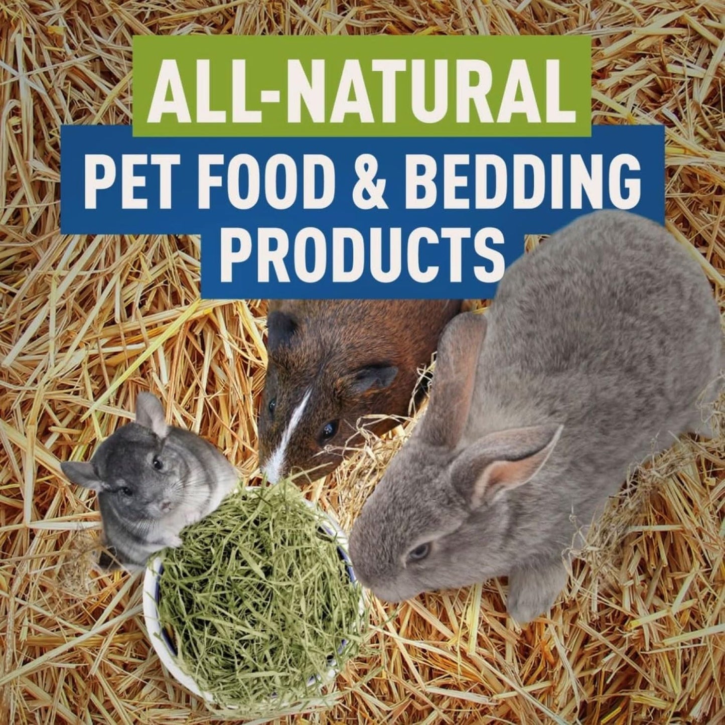 Blue Mountain Hay | Organic Bedding Straw (5 lb) | Natural Pet Bedding & Insulation for Rabbits, Guinea Pigs, Goats, Chickens, Stray & Feral Cats, and Small Animal Shelters