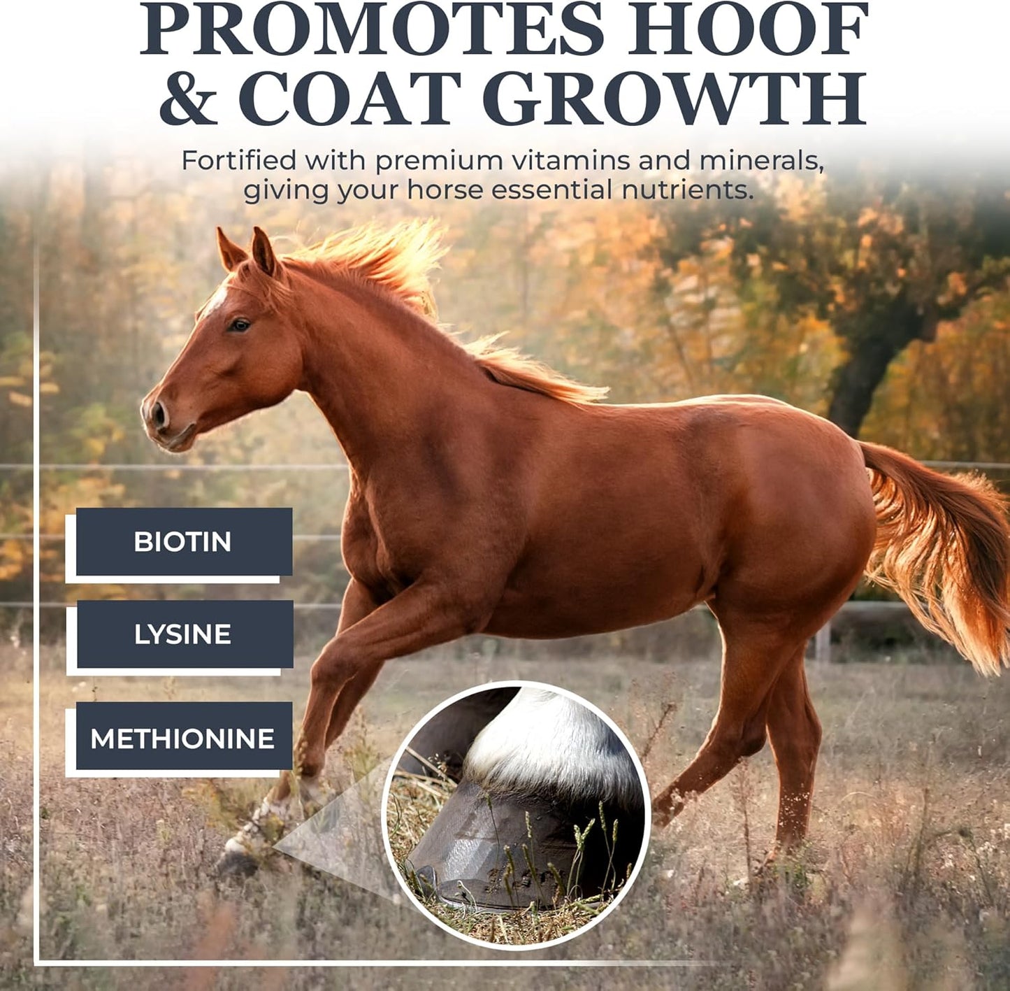 Equerry's Combined RX 4 Way | Equine Nutritional Support | Complete Formula | Digestive and Joint Support | Hoof & Hair | Probiotics Vitamins & Minerals 160 Feedings, 20lb.