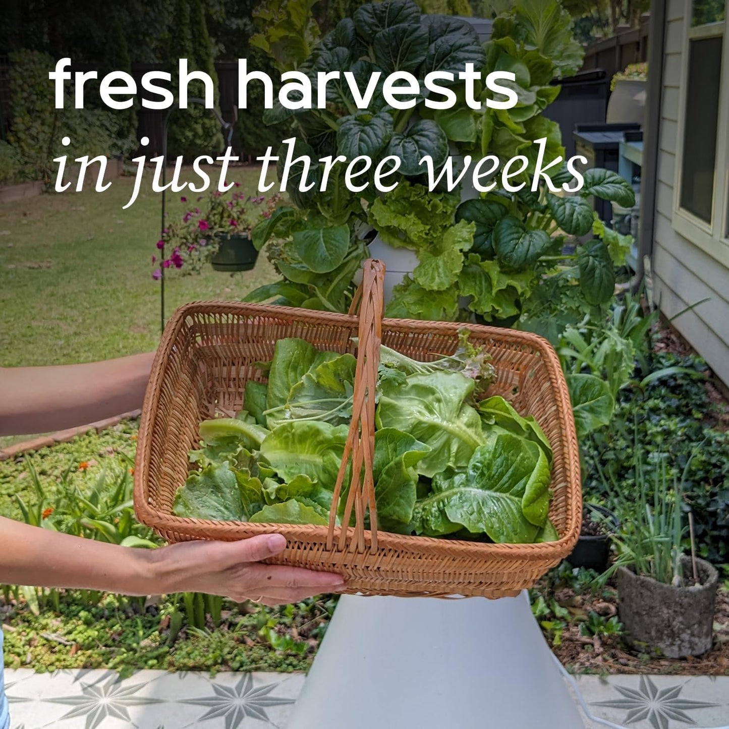 Farmstand Starter Kit + 18 Seedling Credits | Small Hydroponic Growing System Kit | Self-Watering Outdoor Vertical Garden Planter Tower | 4ft 3in | Made in USA