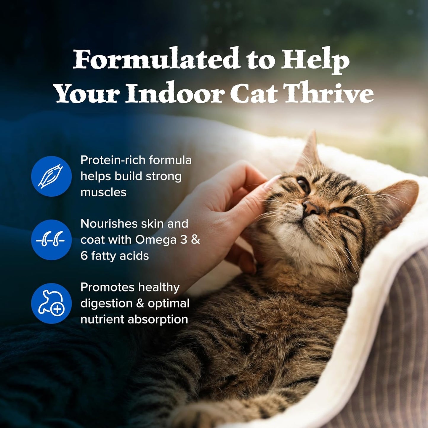 Blue Buffalo Wilderness High Protein, Natural Adult Indoor Dry Cat Food, Chicken 15-lb