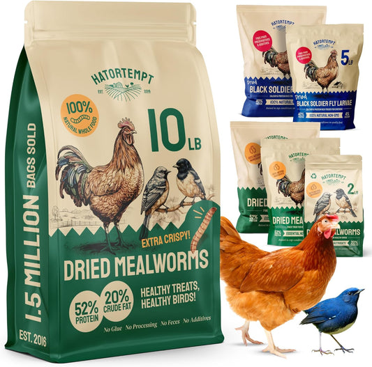 Bulk Dried Mealworms - 10 Lb Bag - Non-GMO Dried Mealworms for Chickens, Ducks & Wild Birds - High-Protein Chicken Feed & Bird Food