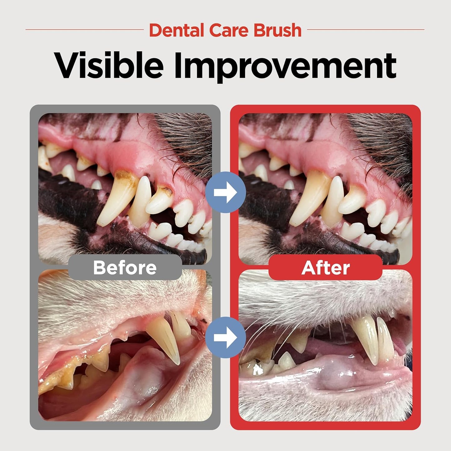 JAYU PET Dental Care Brush (Soft Bristles) 1ea - Dog Toothbrush, Cat Toothbrush, Dental Care for Kitten and Small Dogs, Removing Old Plaque and Tartar, Cat Teeth Brushing & Easy Cleaning