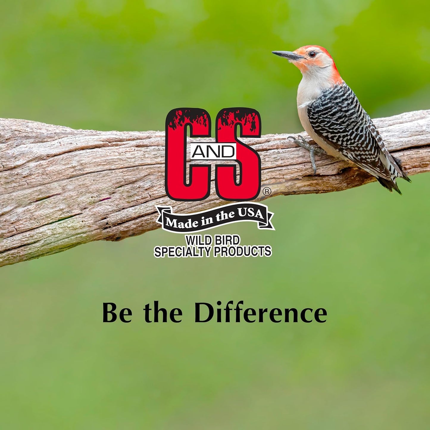 C&S Peanut Suet Nuggets for wild birds, 27 Ounces