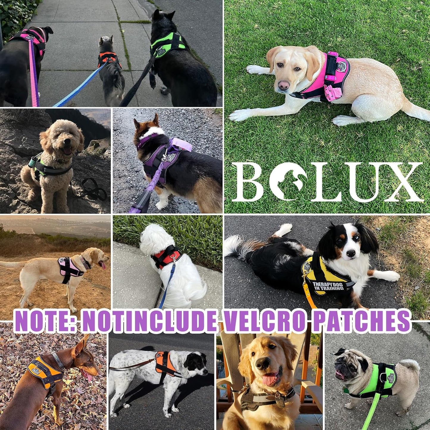 Bolux Dog Harness, No-Pull Reflective Dog Vest, Breathable Adjustable Pet Harness with Handle for Outdoor Walking - No More Pulling, Tugging or Choking (Lavender, Small (Pack of 1))