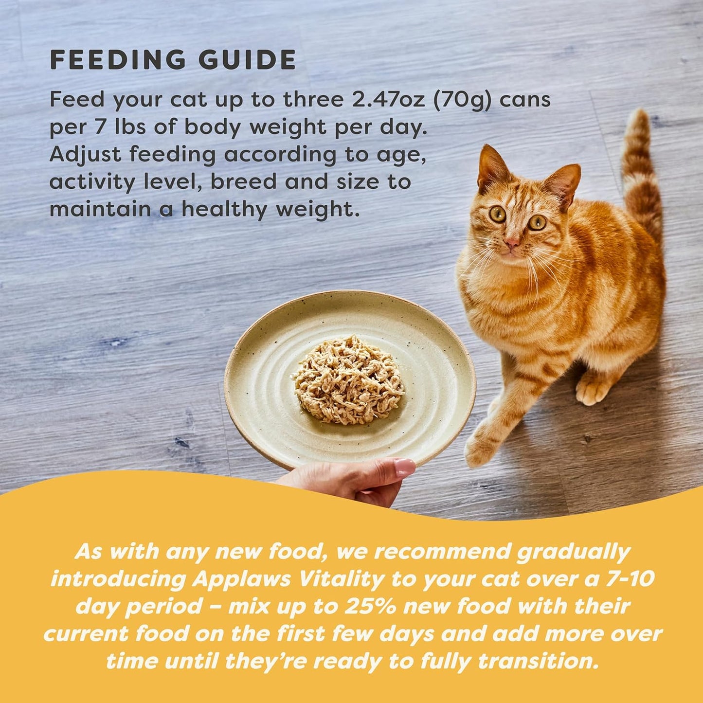 Applaws Vitality Wet Cat Food in Broth, Natural Canned Cat Food, Wet Food for Cats with Added Vitamins and Minerals, Grain and Carrageenan Free, Tuna Fillet & Salmon in Broth (24 Count, 2.47 oz Cans)