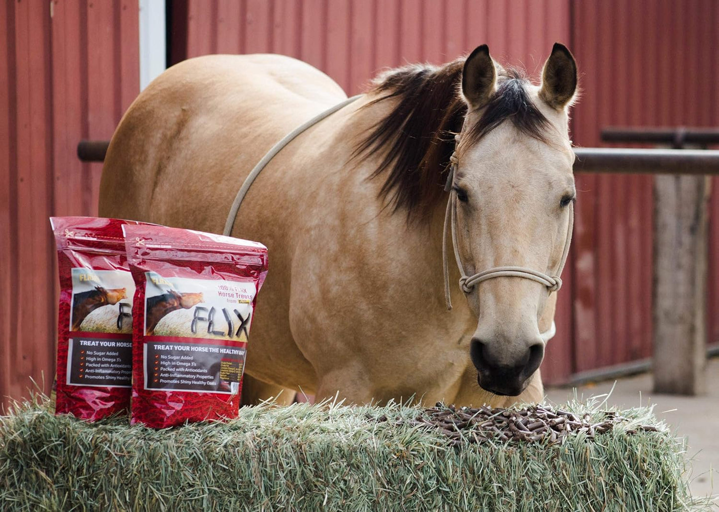 Flix 9 lb, 100% Flaxseed Healthy Treats for Horses, High in Omega-3