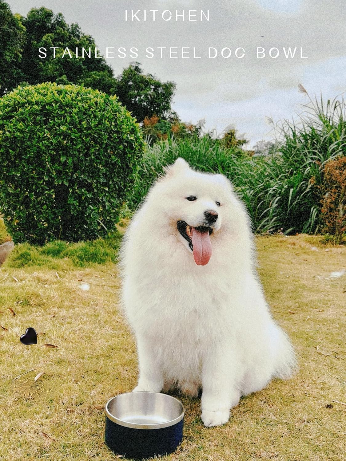 IKITCHEN Dog Bowl for Food and Water, 64 Oz Stainless Steel Pet Feeding Bowl, Durable Non-Skid Double Wall Insulated Heavy Duty with Rubber Bottom for Medium Large Sized Dogs (64 Ounces/8 Cup, Black)