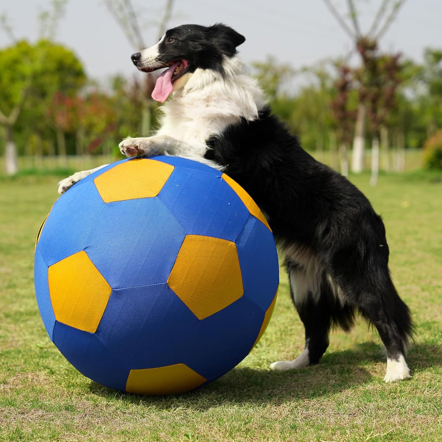Herding Ball for Dogs & Horses - 20" Large Blue & Yellow Ball with Hand Pump
