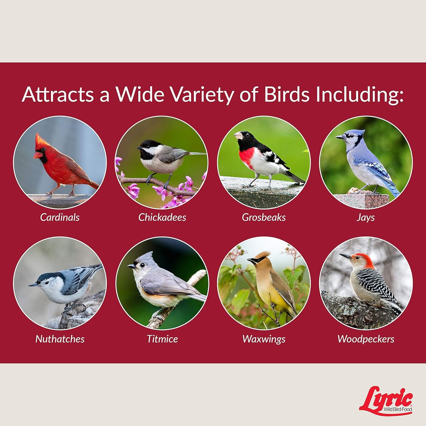 Lyric Fruit and Nut Wild Bird Seed - High Energy Wild Bird Food Mix - Attracts Woodpeckers, Chickadees & Other Songbirds - 20 lb bag